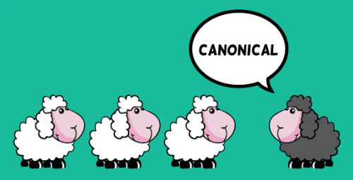 What Is URL Canonicalization And How To Implement