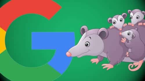 How SEO has Changed with Possum Update