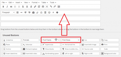 How to Change Font Size on Wordpress Website