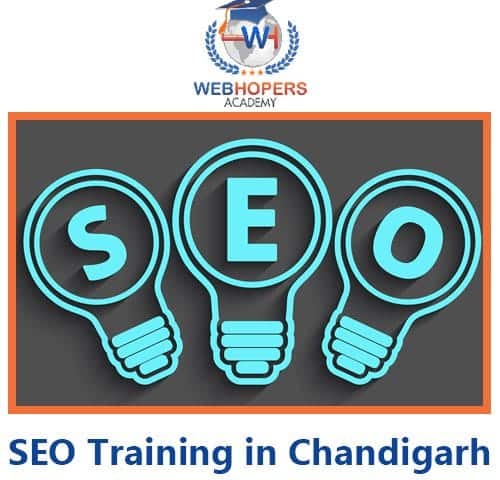 top 10 SEO Training Course in Chandigarh