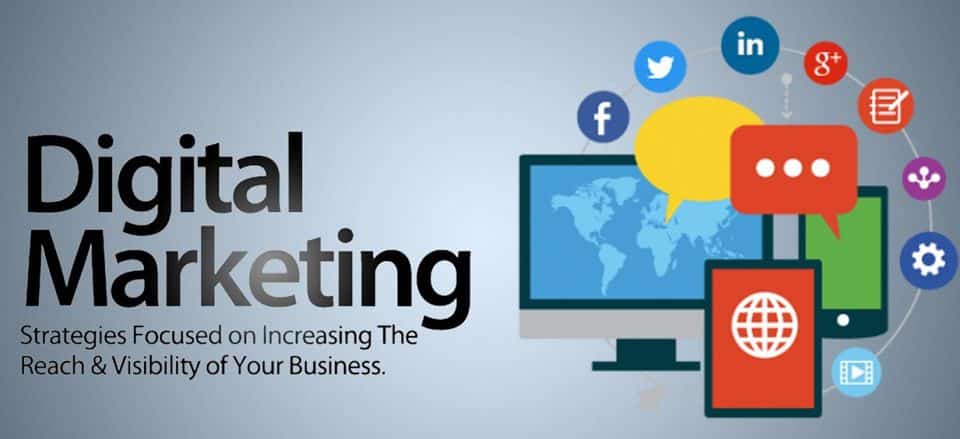 Digital marketing company in Karnal