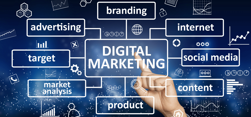 Digital Marketing Company in Kala Amb