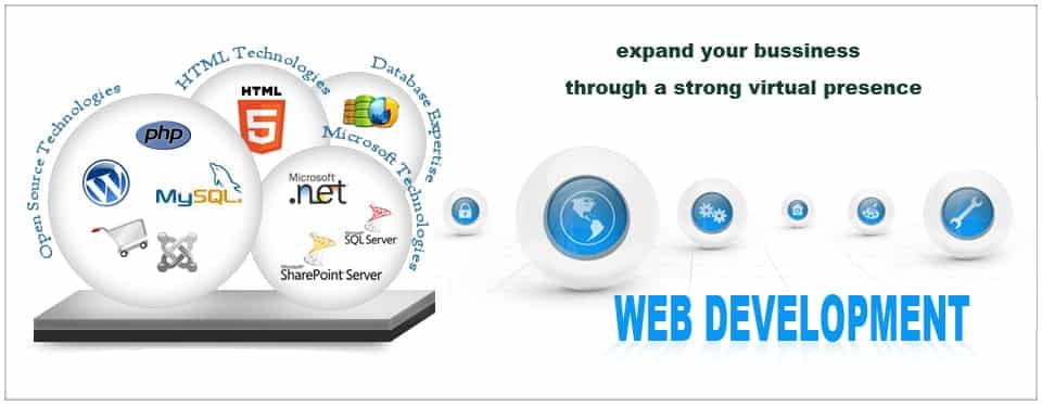 Web Development Company in Panchkula