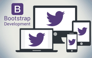 bootstrap development company in India