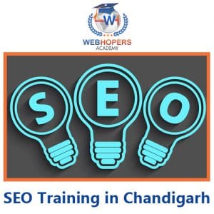 top 10 SEO Training Course in Chandigarh