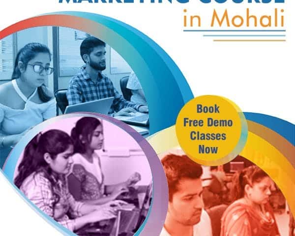 SEO Training in Mohali