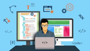 web development Company in Karnal