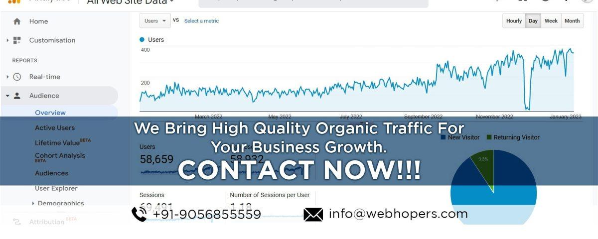 SEO Services