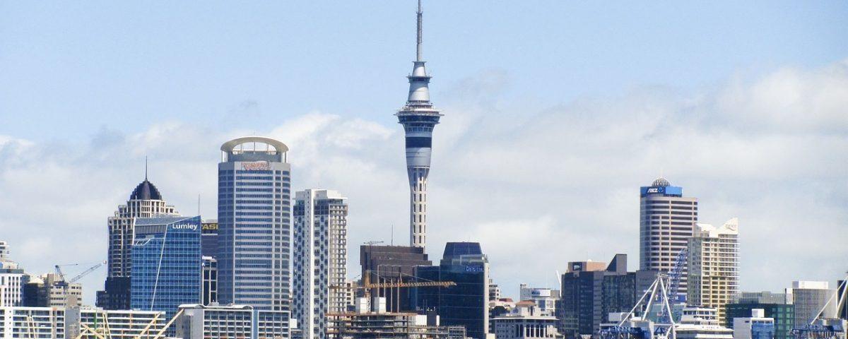 web design agencies in auckland