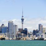 web design agencies in auckland