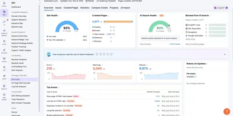 SEO Audit