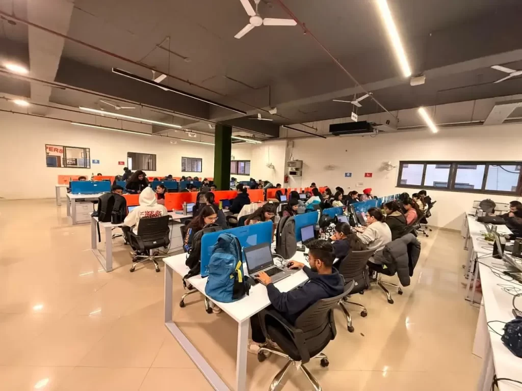 Webhopers Team